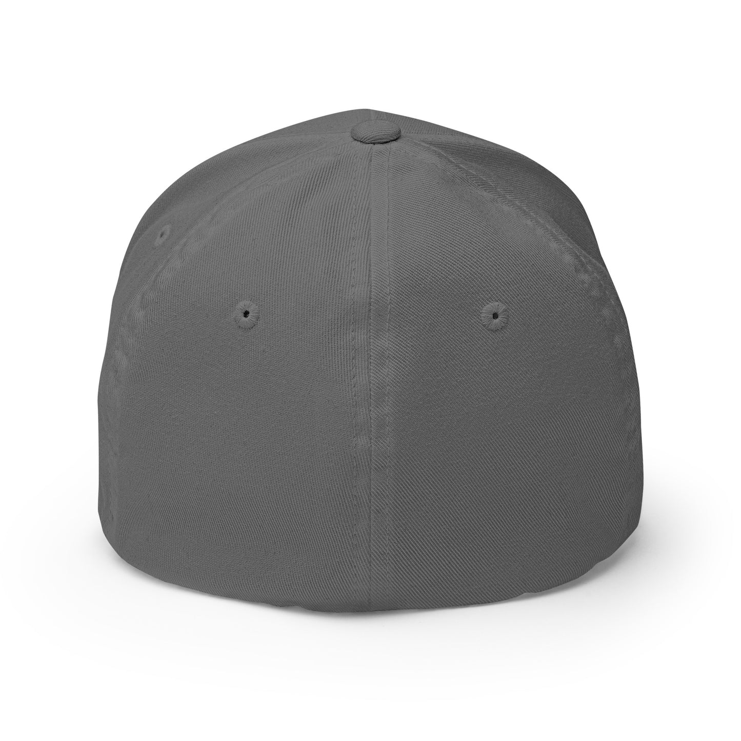 PRO-AMERICA/ANTI-TRUMP Structured Twill Cap