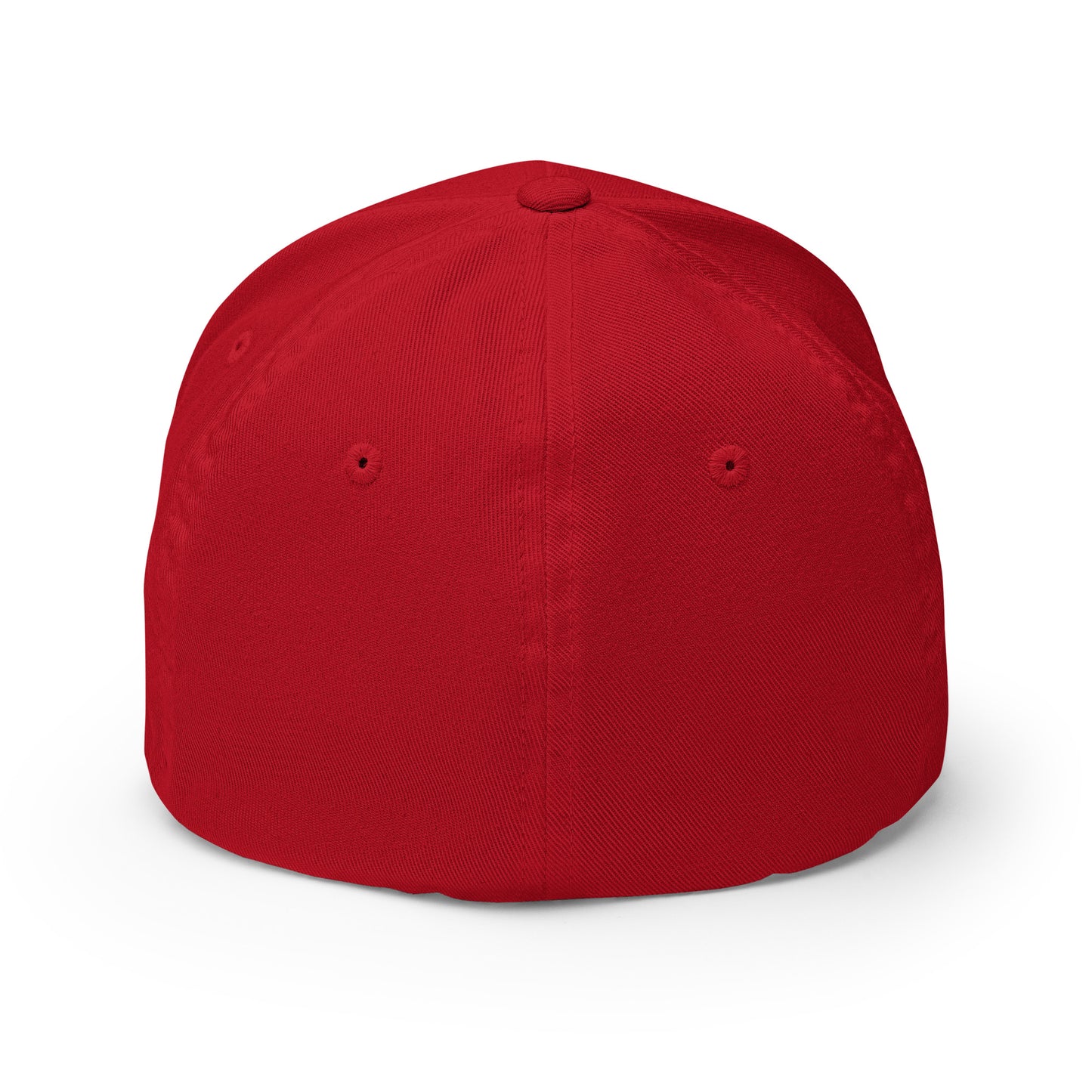 PRO-AMERICA/ANTI-TRUMP Structured Twill Cap