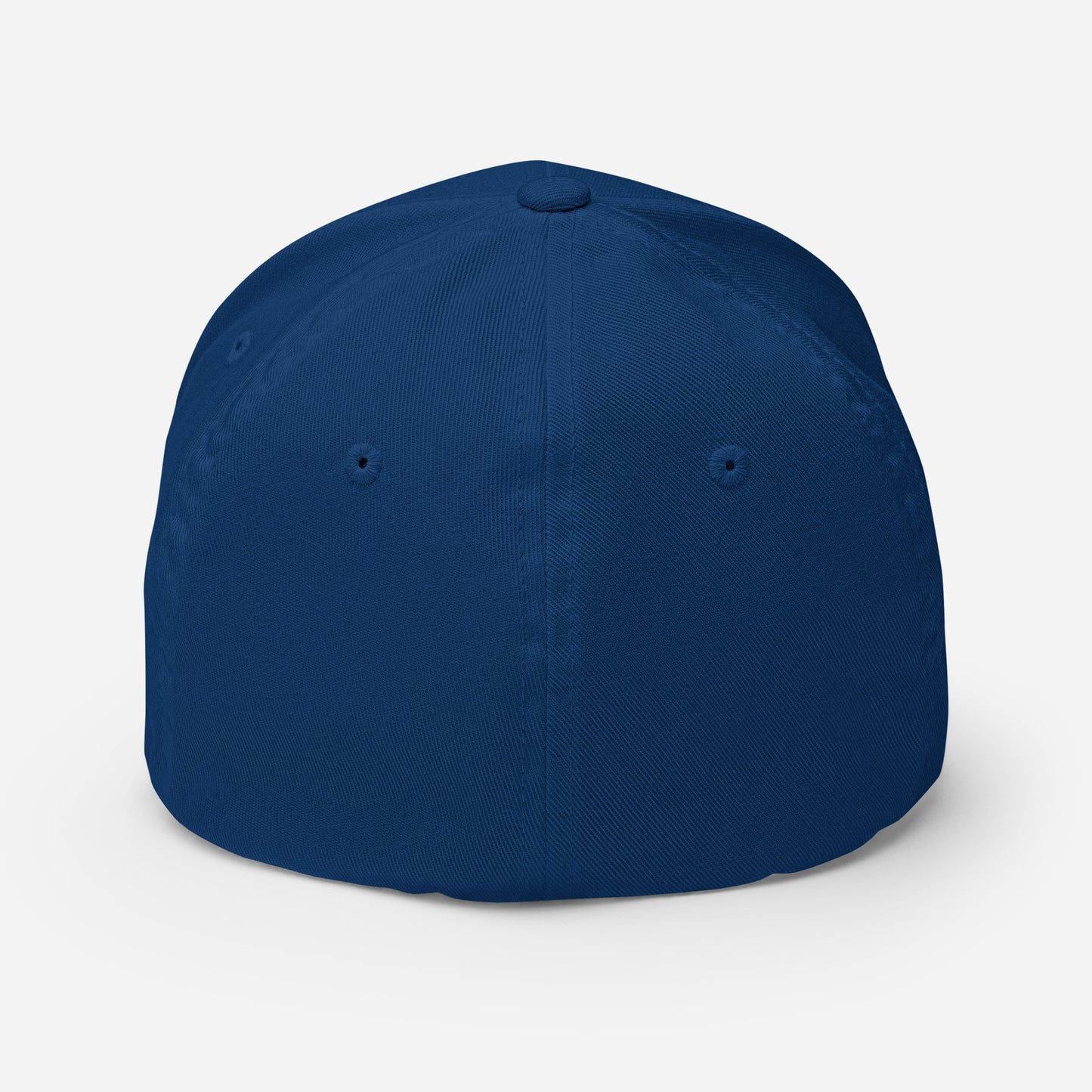 PRO-AMERICA/ANTI-TRUMP Structured Twill Cap