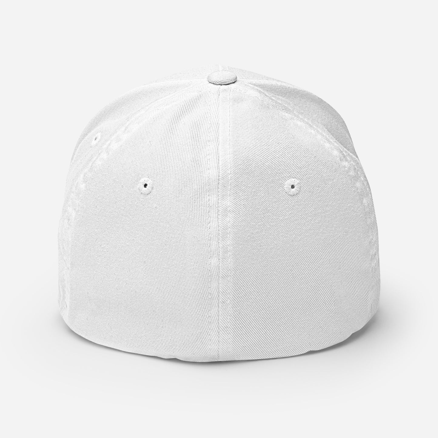 NO KINGS IN AMERICA Structured Twill Cap