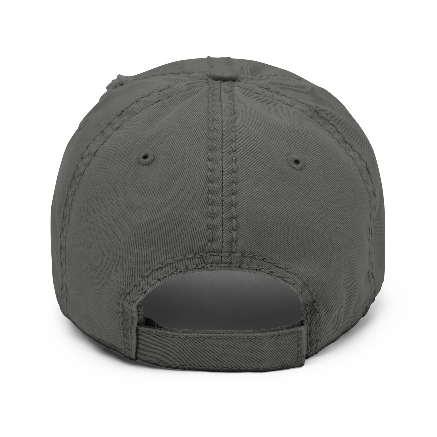 NO KINGS IN AMERICA Distressed Cap